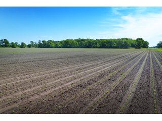 Property photo 1 - 156.9+/- Acres For Sale - Cropland, Woods for Hunting/Recreational & Potential Building Sites